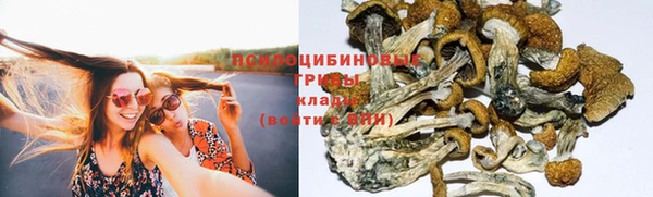 крисы Арсеньев