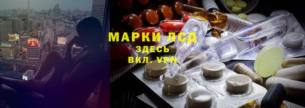 apvp Аркадак
