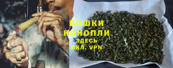 крисы Арсеньев