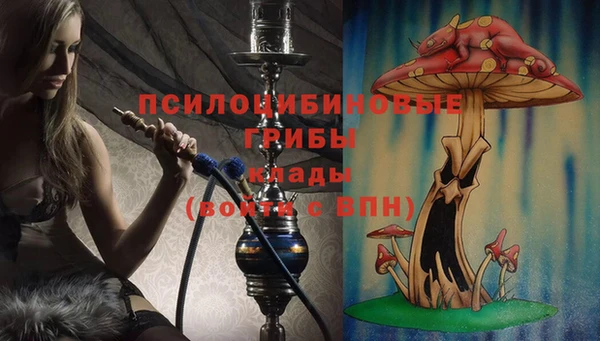 apvp Аркадак