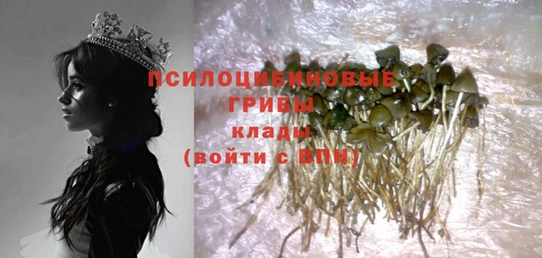 крисы Арсеньев